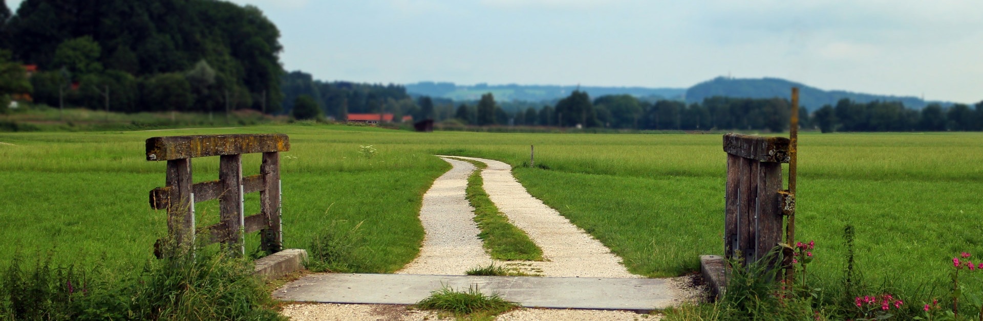 Landschaft Bruecke und Weg Natur